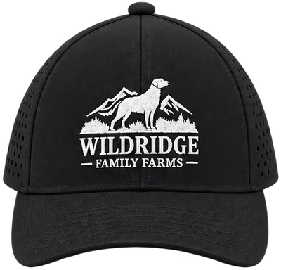 Wildridge Performance Hat in black with the platinum embroidered Wildridge Family Farms logo